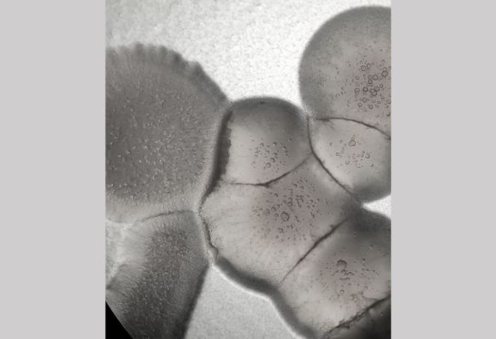 Untitled design (5)