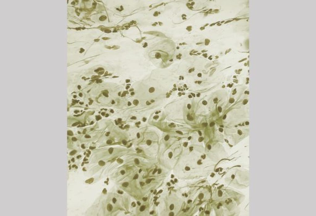 Untitled design (6)